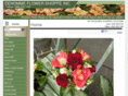 denommeflowershop.com