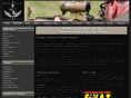 michigantrainer.com