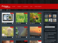 picture-capture.com