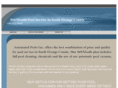 automatedpoolsinc.com