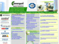 convergentindia.com