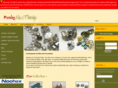 funkynicethings.com