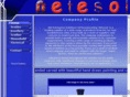 netesol.com