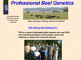 pbgbulls.org