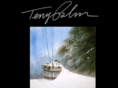 terrypalmpaintings.com