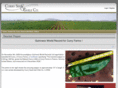 curryseedandchile.com