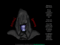 digital-wraith.com