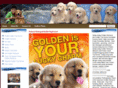 goldentopkennel.com