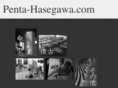 penta-hasegawa.com