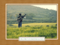 stonebridgeguitars.com