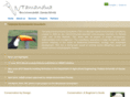 tamanduaconsultants.com