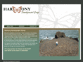 choosingyourharmony.com