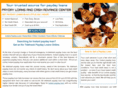instant-payday-loan-service.com