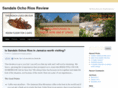 sandalsochoriosreview.com