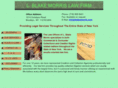 blakemorris.com
