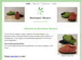montessorimovers.com