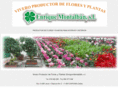 plantasmontalban.com