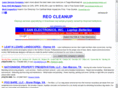 reo-cleanup.com