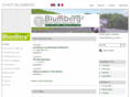 stadt-blumberg.com