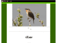 yokoweb.net
