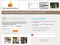 barbequesgaloreuniversity.com