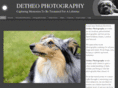 detheo.com