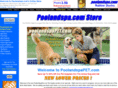 poolandspapet.com