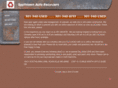 southlawnautoparts.com