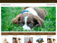 thesmartdogblog.com