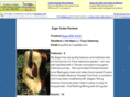 zagerguitar.net