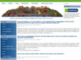 ain-bolivia.org