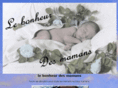 lebonheurdesmamans.com