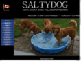 saltydogkennels.net