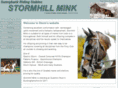 stormhillmink.co.uk