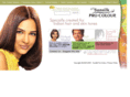 sunsilkprocolor.com