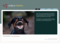 aureliatraders.com