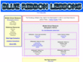 blueribbonlessons.com