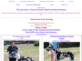 mantlegreatdane.com