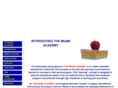 themiamiacademy.com