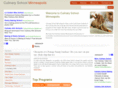 culinaryschoolminneapolis.com