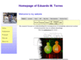 edotorres.com