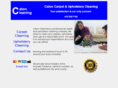 ellicottcitycarpetcleaning.com