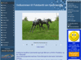 fotobertil.net