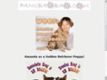 pangbaobao.com