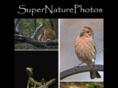 supernaturephotos.com