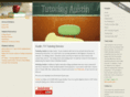 tutoringaustin.com