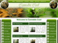 cannabiscool.com