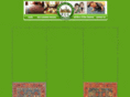 emeraldcityrugs.com