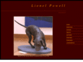 lionelpowell.com