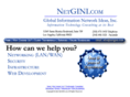 netgini.com
